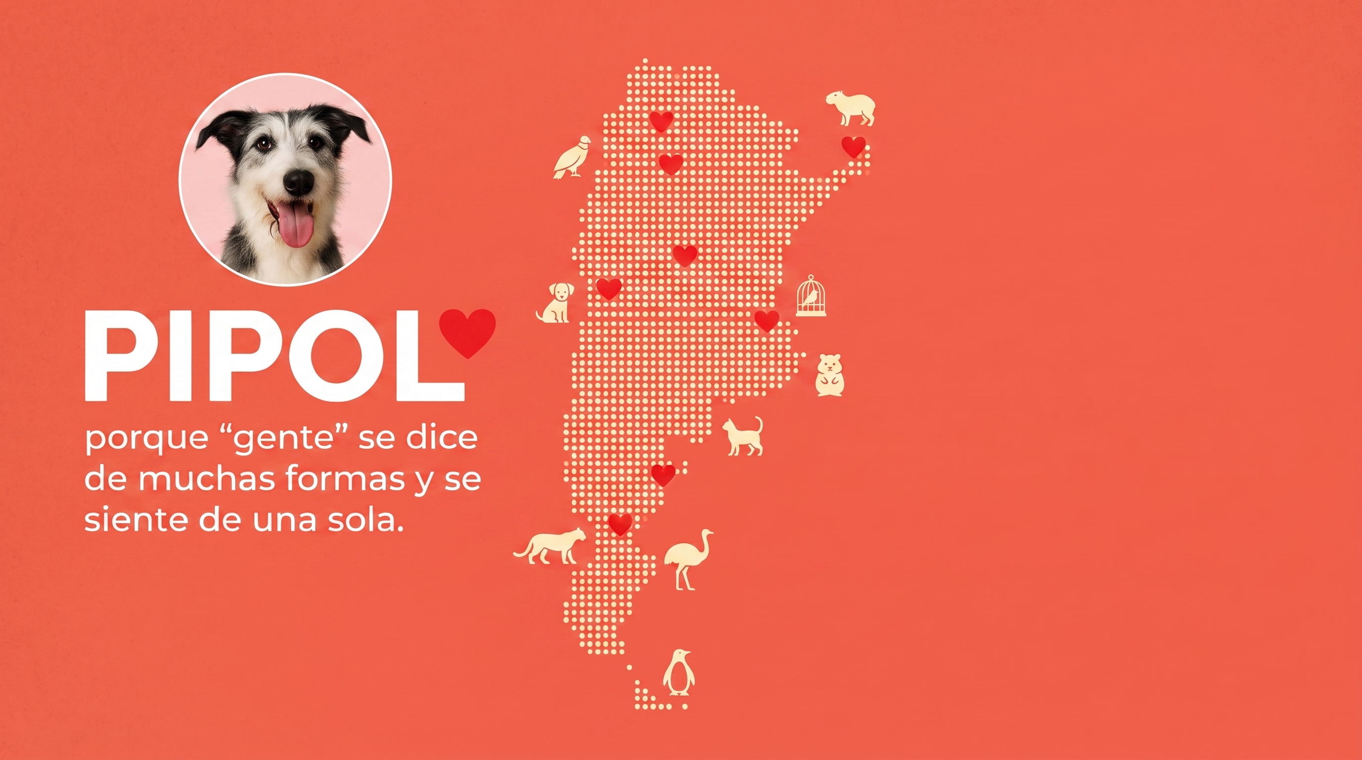 Banner YouTube PipoL