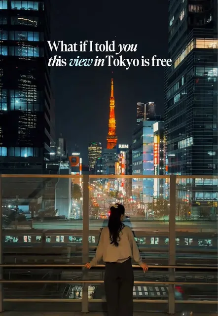 Cover of @wisteria_voyage's TikTok video