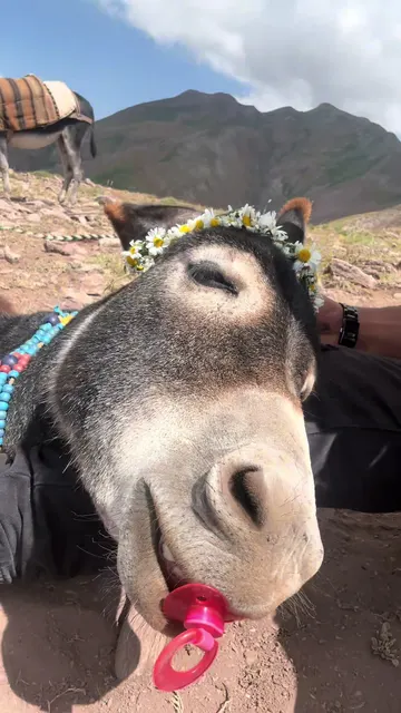 Portada del video de TikTok de @mahmutt_a
