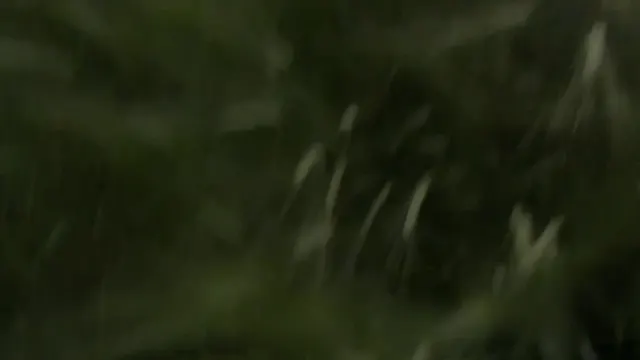 Portada del video de TikTok de @somewhere.505
