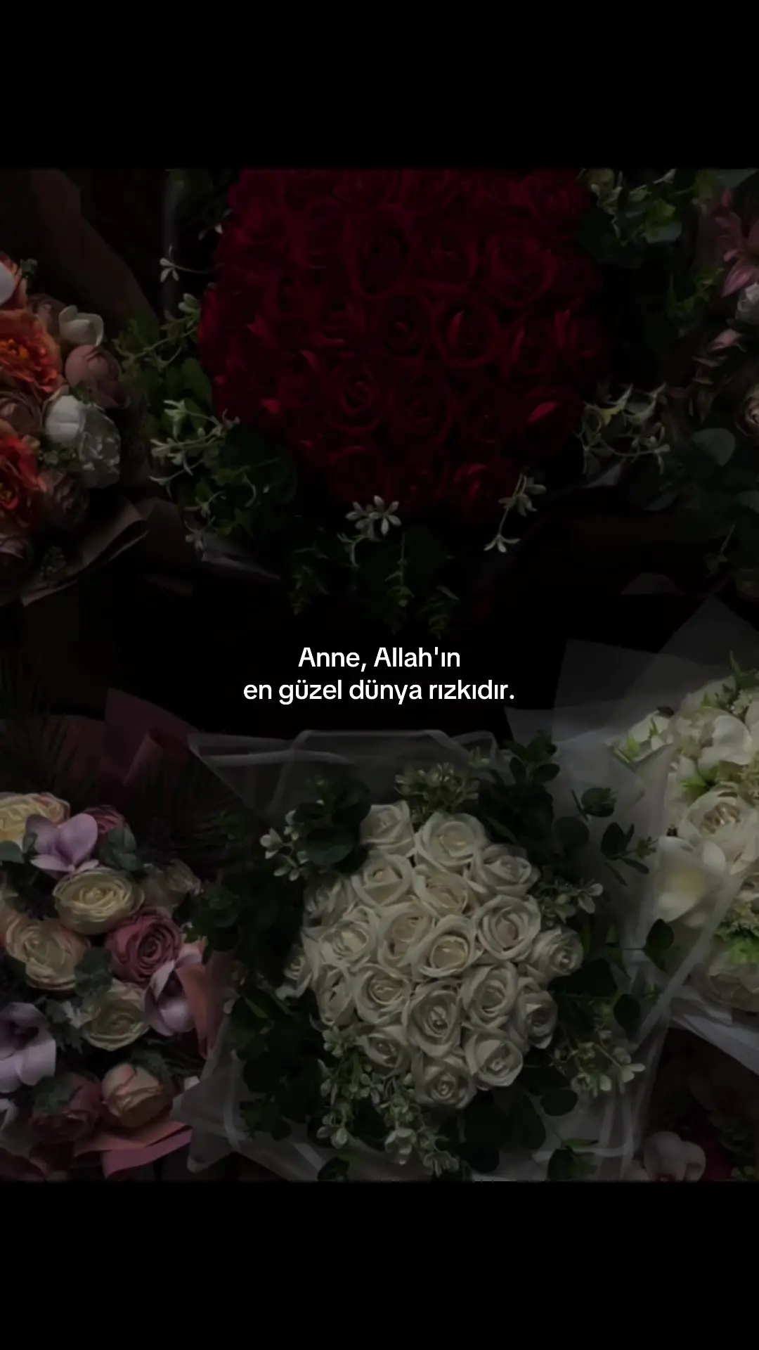 Portada del video de TikTok de @61_elfida