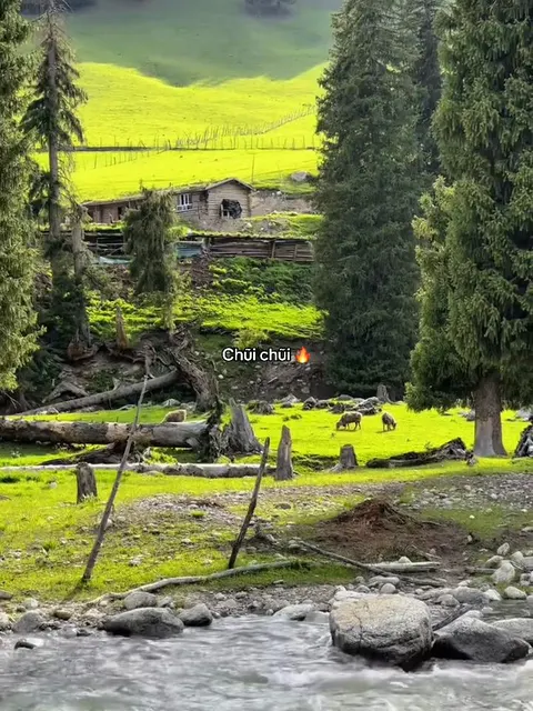 Portada del video de TikTok de @_ththinhh._